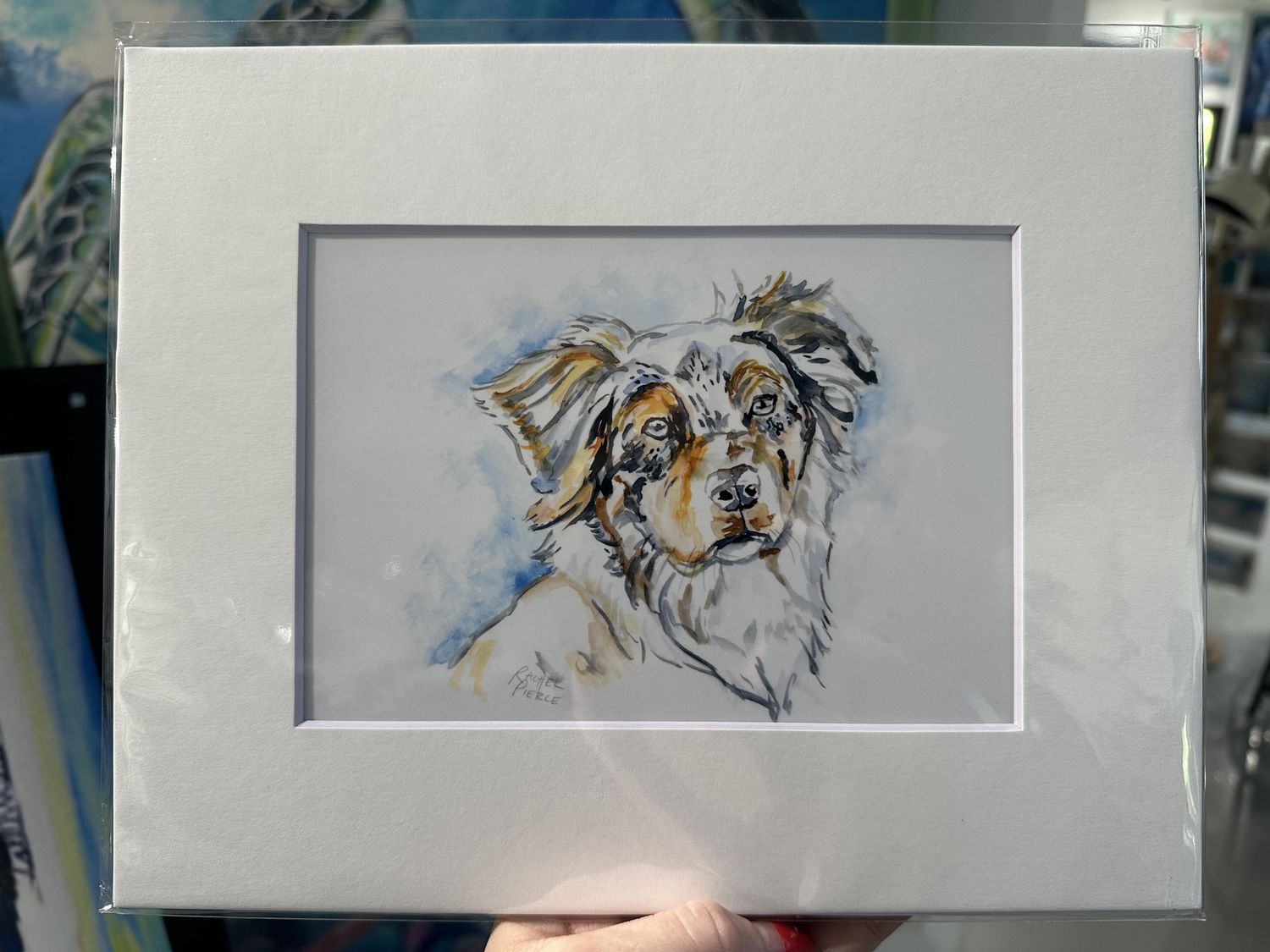 Rachel Pierce &quot;Australian Shepherd&quot; Matted Print