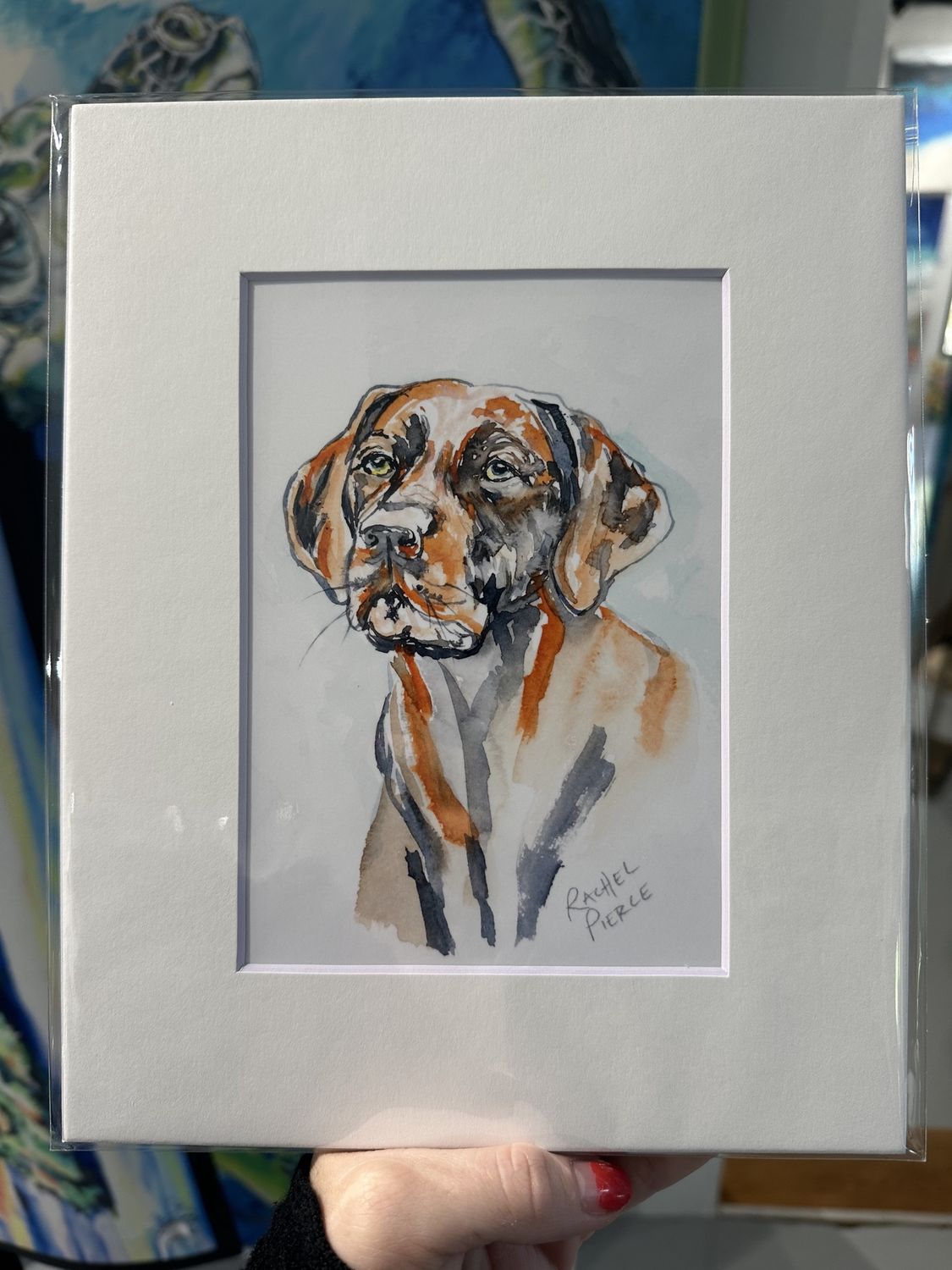 Rachel Pierce &quot;Watchful Chocolate Lab&quot; Matted Print