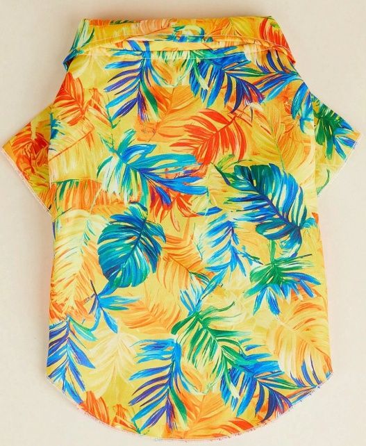 Colorful Casual Pet Clothing