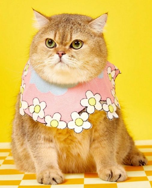 PETSIN Cute Blue, Pink &amp; White Floral Pet Bandana