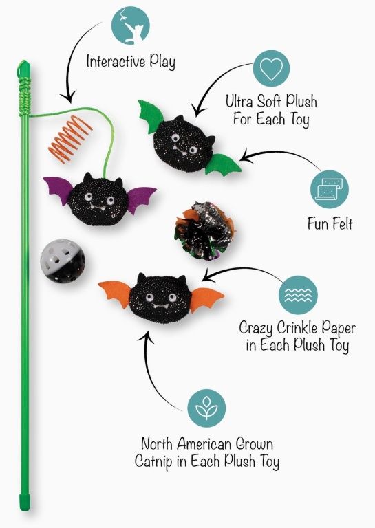 Blind and Seek 6PC Cat Toy Set