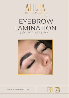 Brow Lamination Course