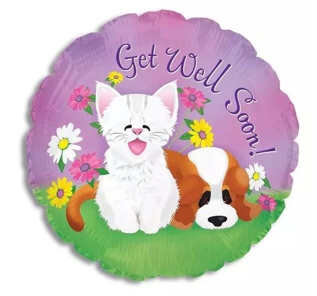 Get Well cat dog