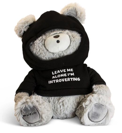 &quot;Leave Me Alone I&#39;M Introverting&quot; Teddy Bear Plush