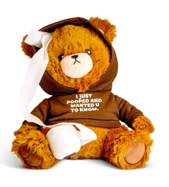 Teddy Bear Pooped Plush