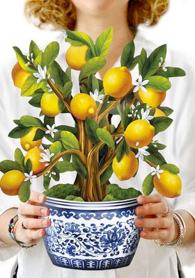 Lemon Blossom Tree pop-up greeting