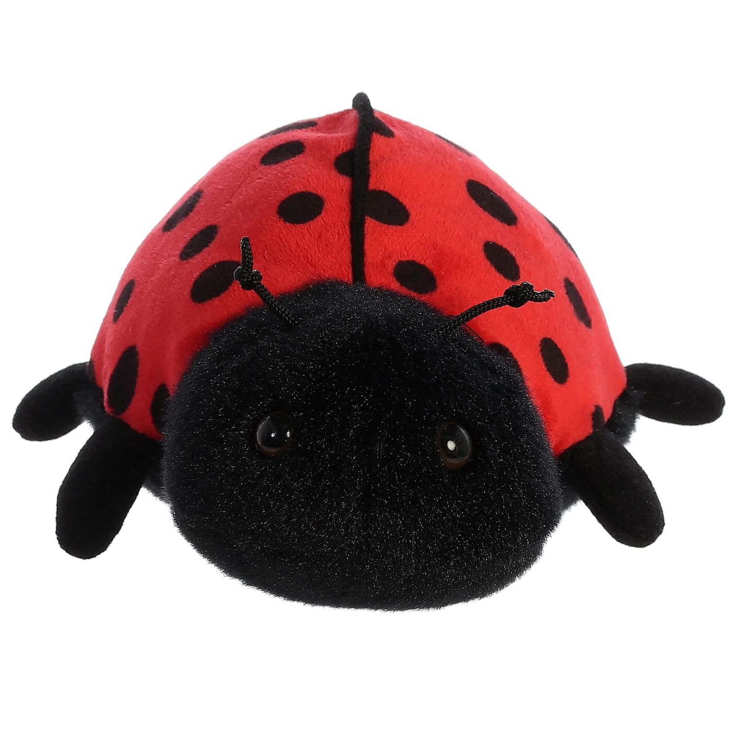 LADYBUG-LADYBIRD™