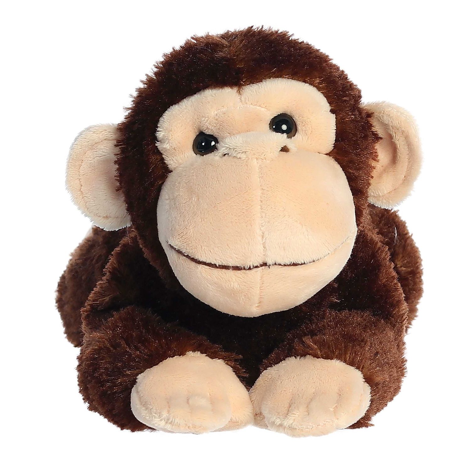 CHIMP