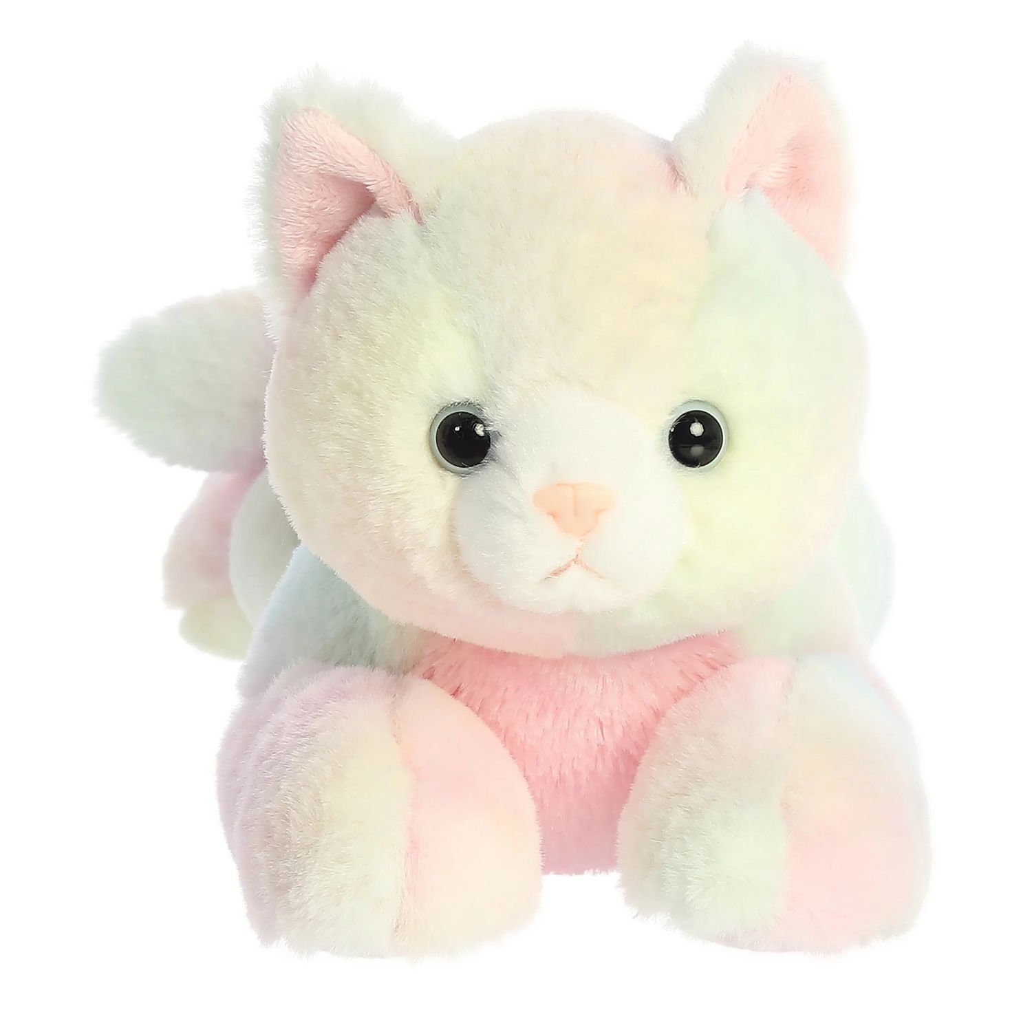 CALLI KITTEN™