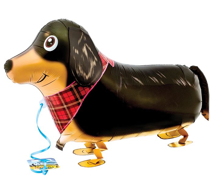 DACHSHUND