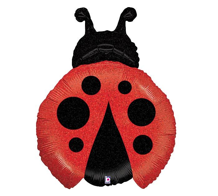 ANI 23&quot;PKG LITTLE LADYBUG