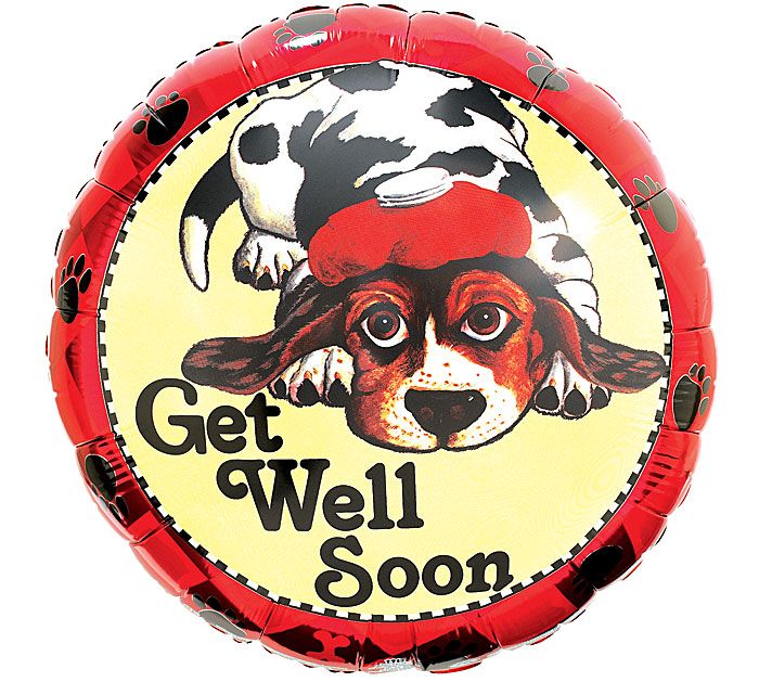 GWS 17&quot;PKG DOGGY WITH ICE