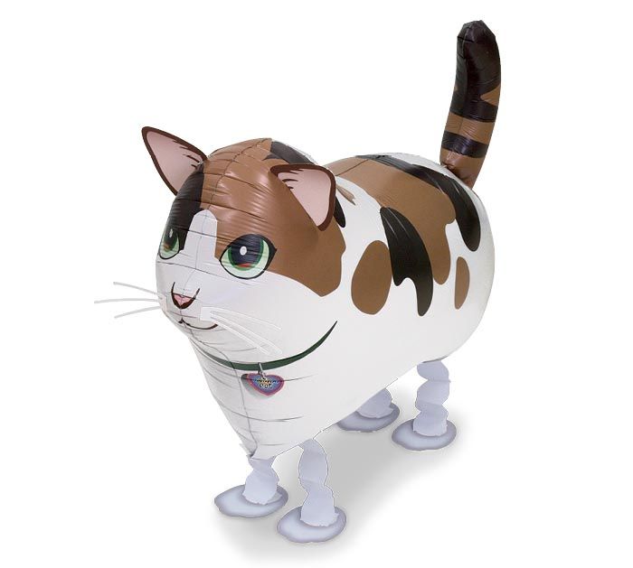 CALICO CAT MY