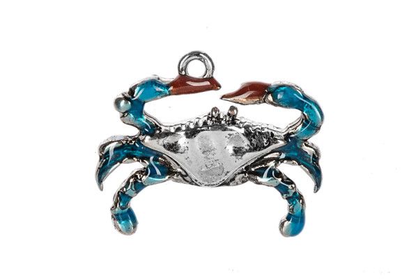 Follow the Crab charm