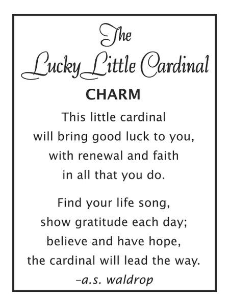 The Lucky Little Cardinal