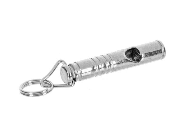 The Lucky Little Whistle Charm