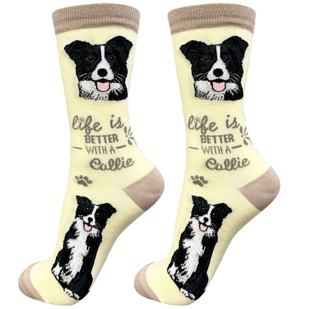 Border Collie sock