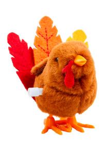 Wind-Up Turkey Toys