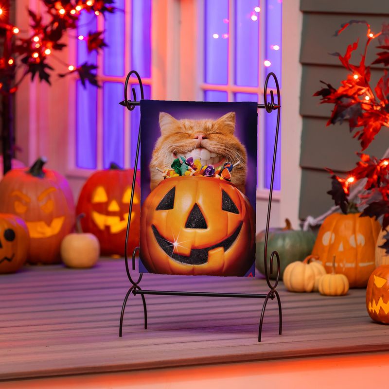 Cat Jack O&#39;Lantern Pumpkin Teeth Suede Garden Flag