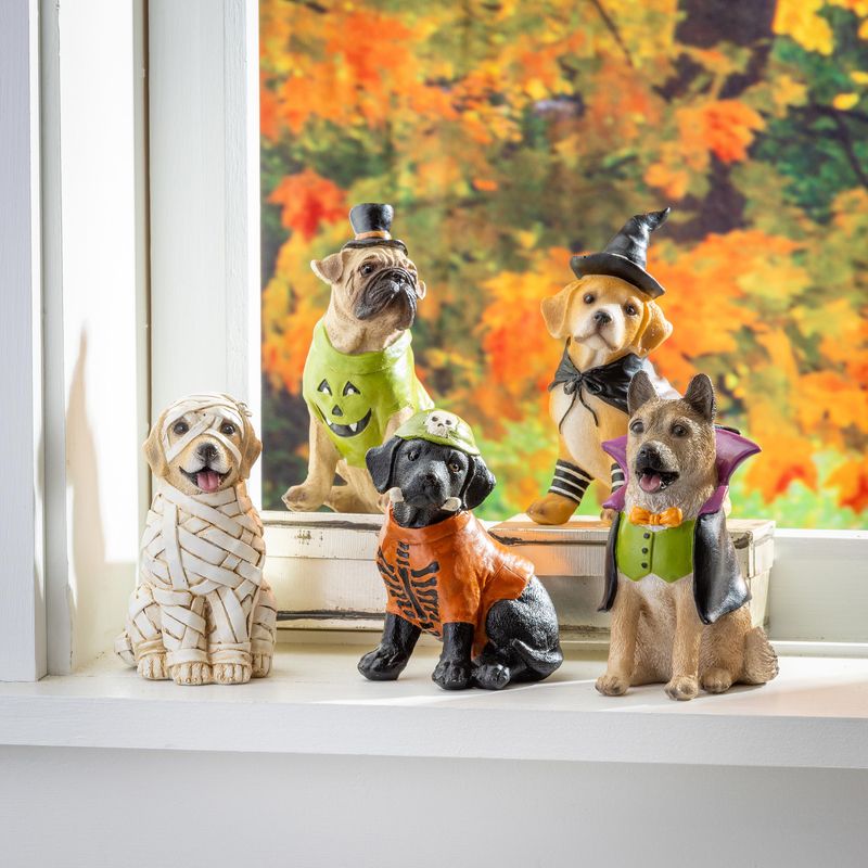 Dog in Halloween Costume Resin Table Décor, Asst