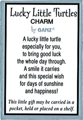 Lucky Little Turtles Charms