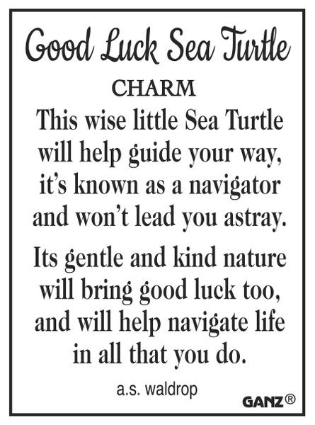 Sea Turtle Charm