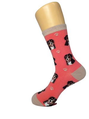 Bernese Mt. Dog - Fun Novelty Dog Socks - Unisex