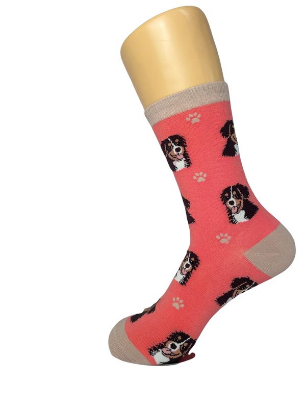 Bernese Mt. Dog - Fun Novelty Dog Socks - Unisex