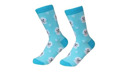 Bichon Frise   - Unisex - Fun Novelty Dog Socks