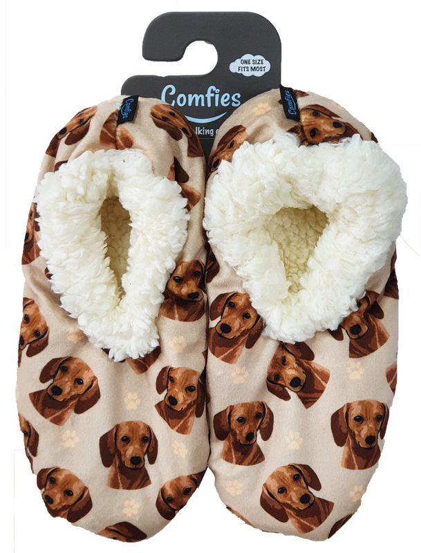 Dachshund, Red Slippers