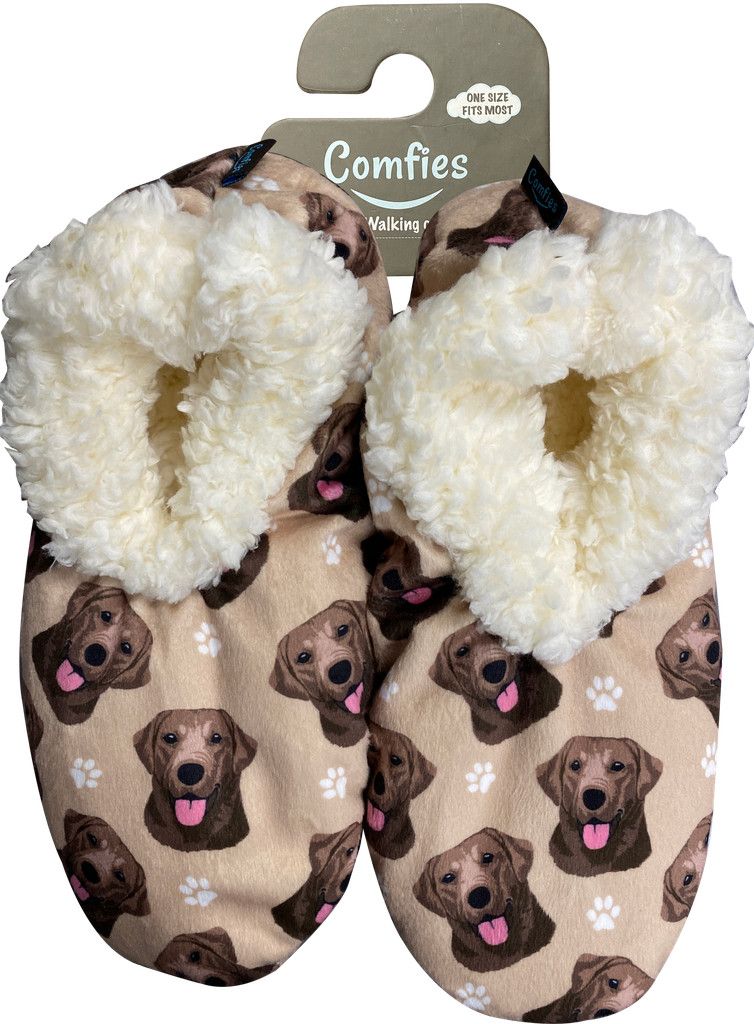 Labrador, Chocolate Slippers