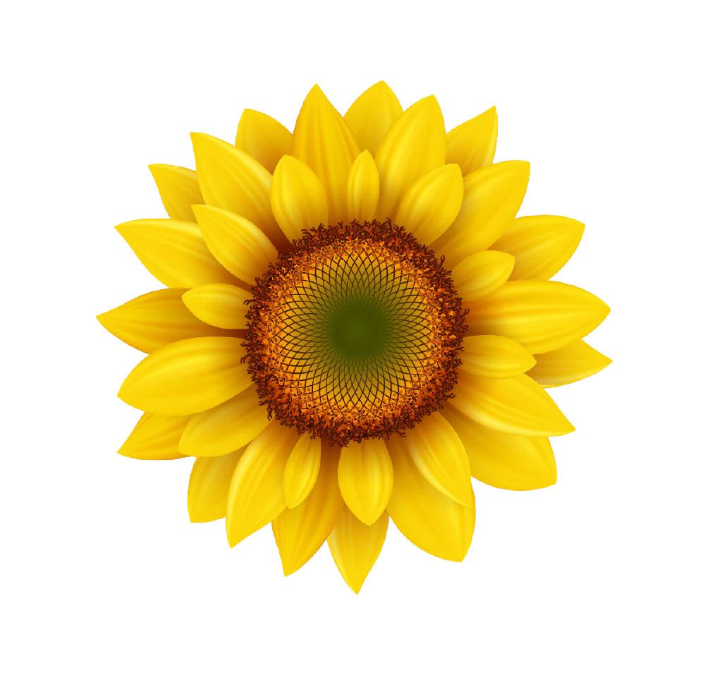 Sunflower Interchangeable Badge Buttons