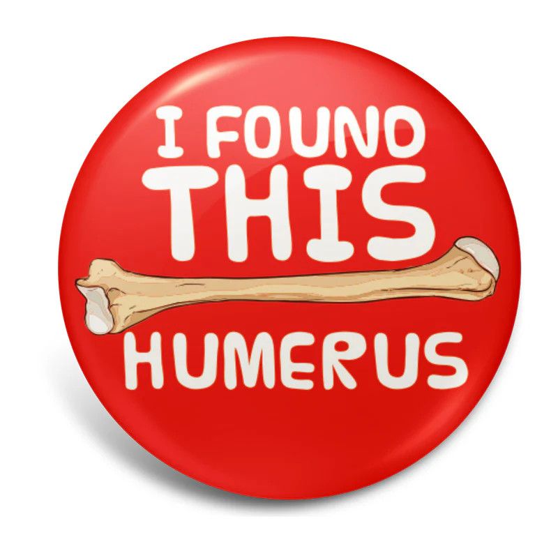 I Found This Humerus