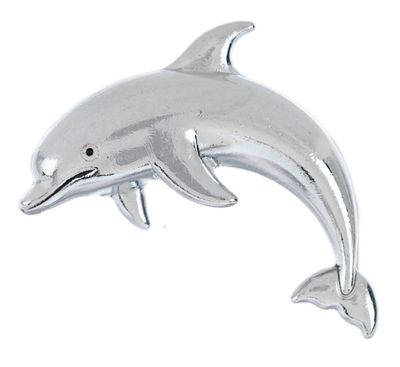 Lucky Little Dolphin Charm