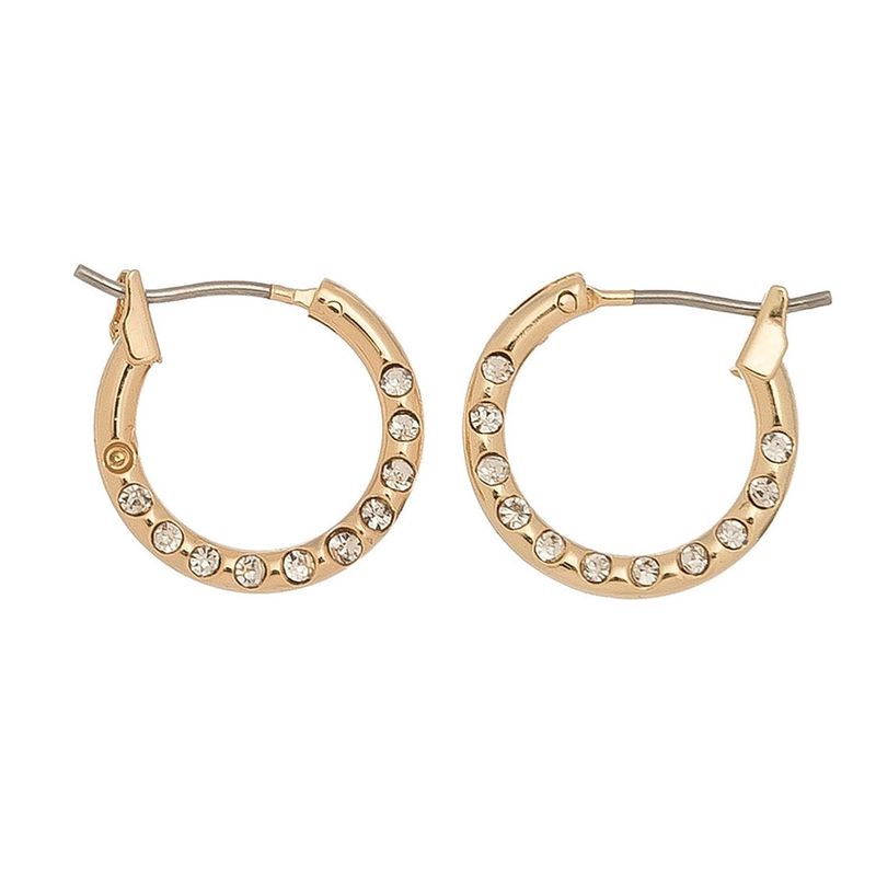 Hoop with Stone Ear Sense Earrings-Gold