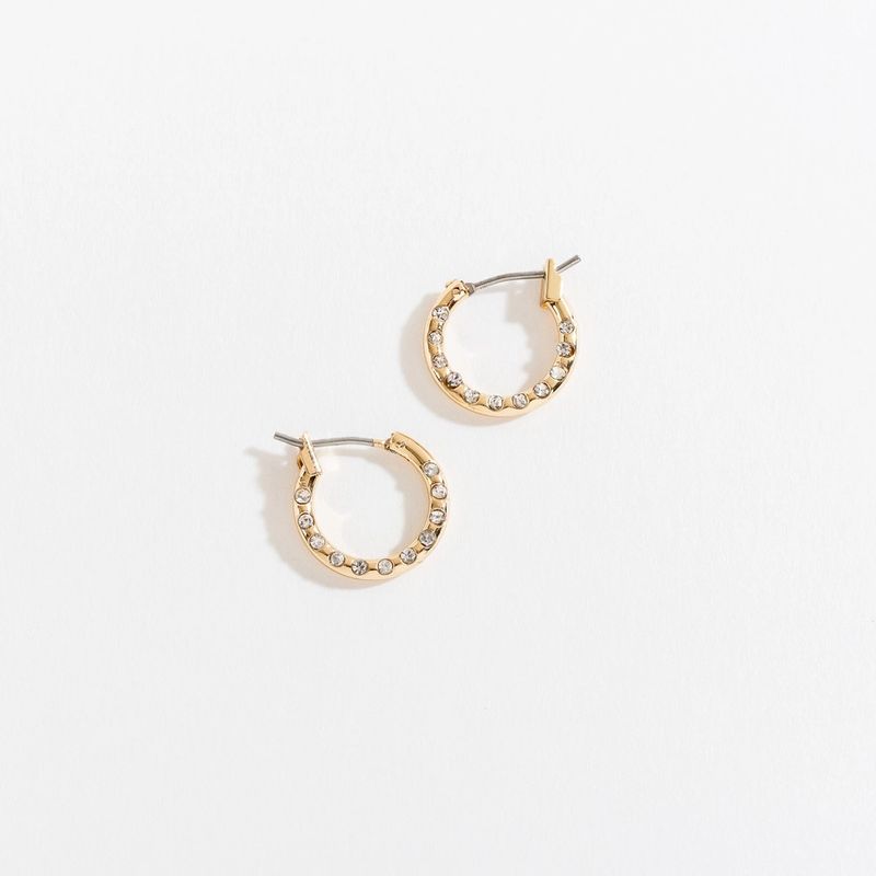 Hoop with Stone Ear Sense Earrings/Gold