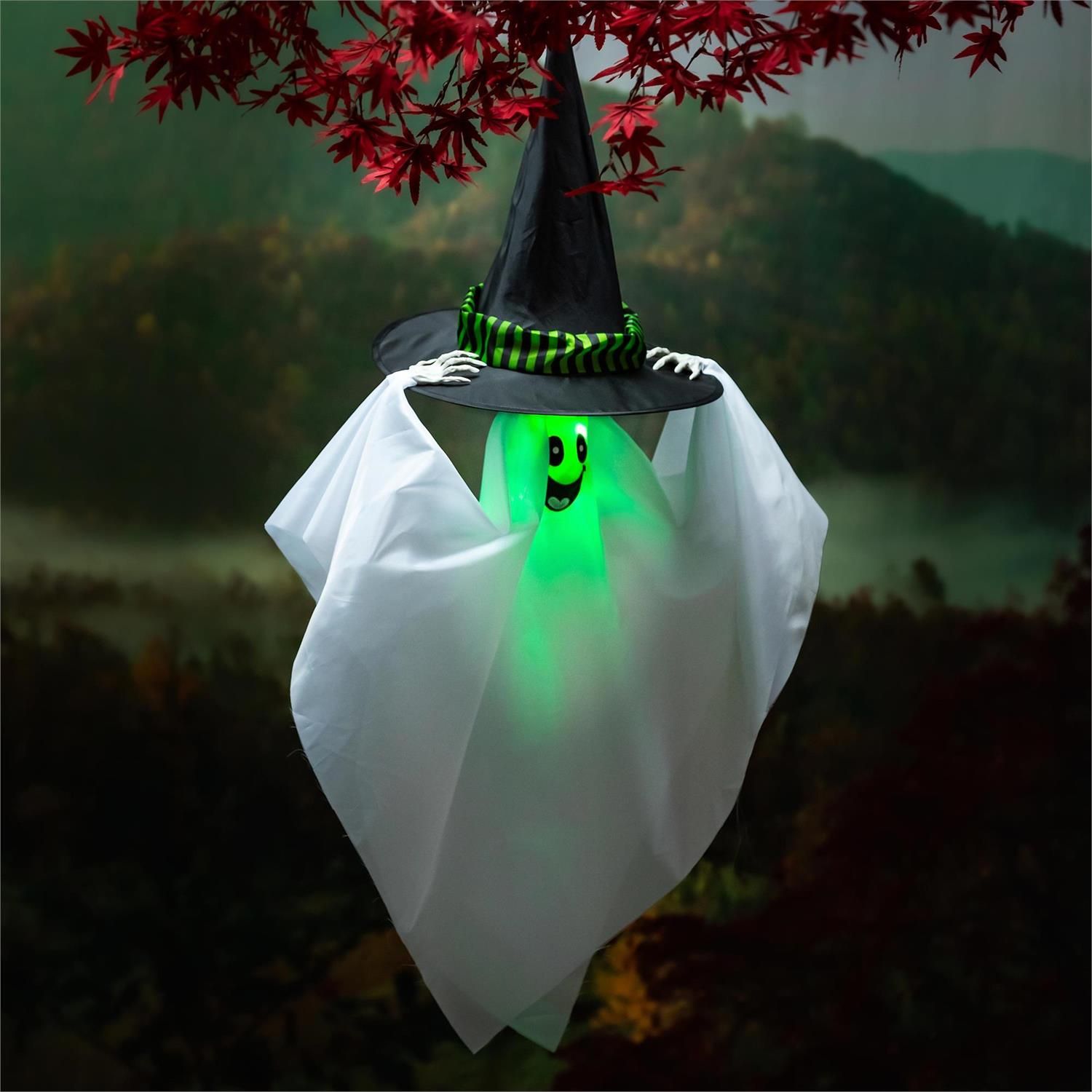 Animated Witch Hat Ghost with Color-Changing LED L