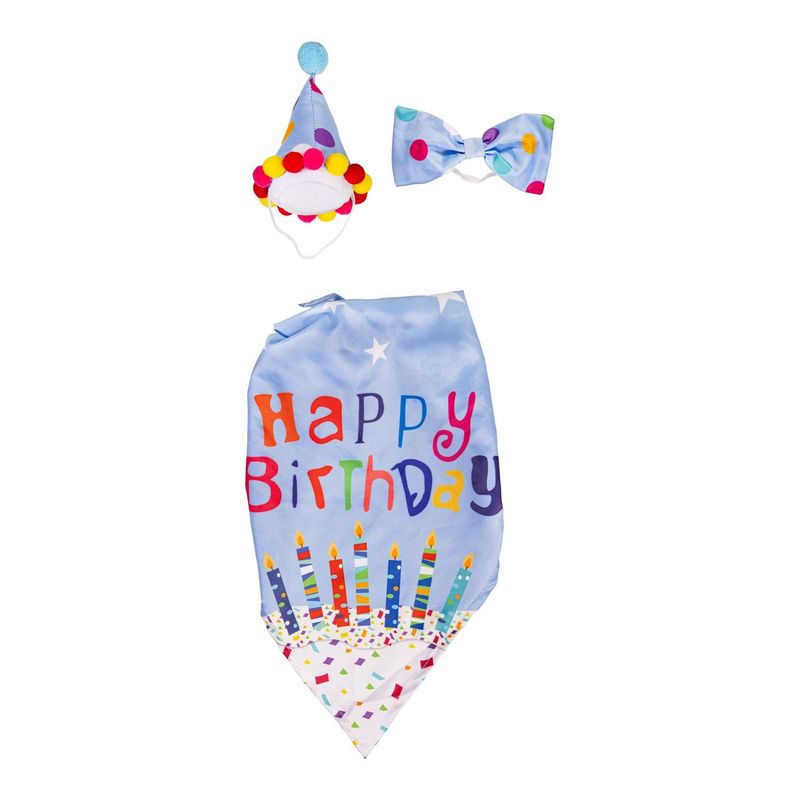 Porch Goose Outfit. Birthday Boy