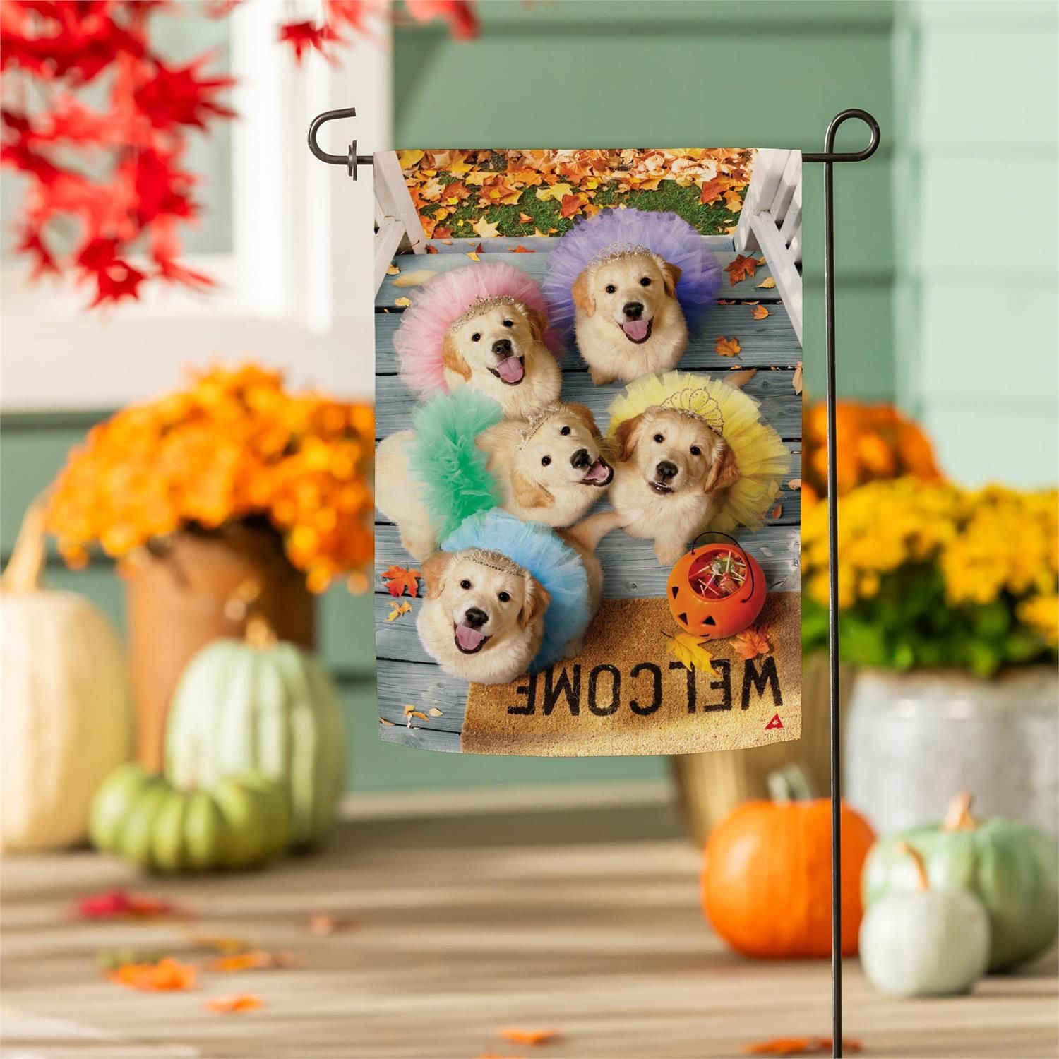 Pet Central Puppy Ballerinas Suede Flag Garden