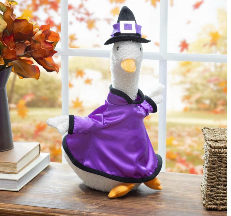 Haunted House Fabric Goose Witch Costume