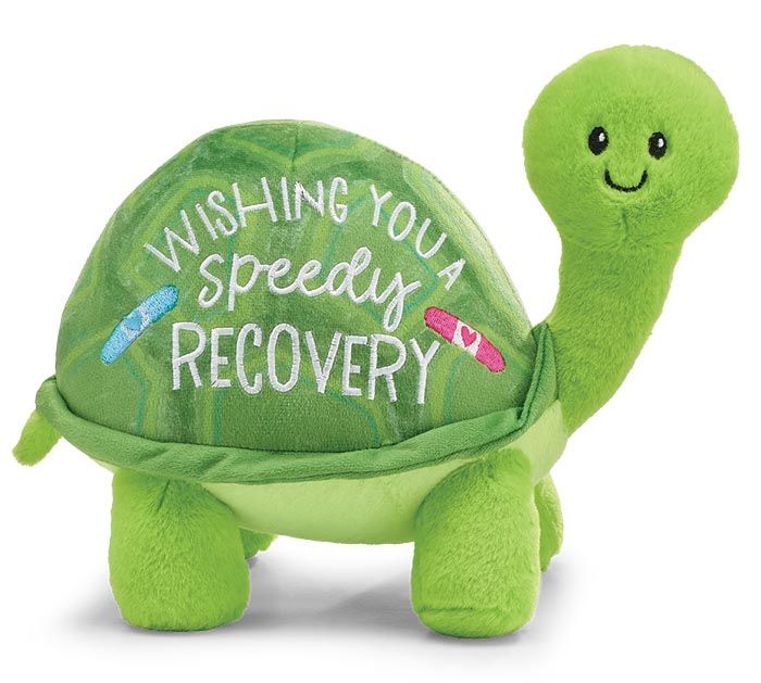 Plush Speedy Recovery Turtle