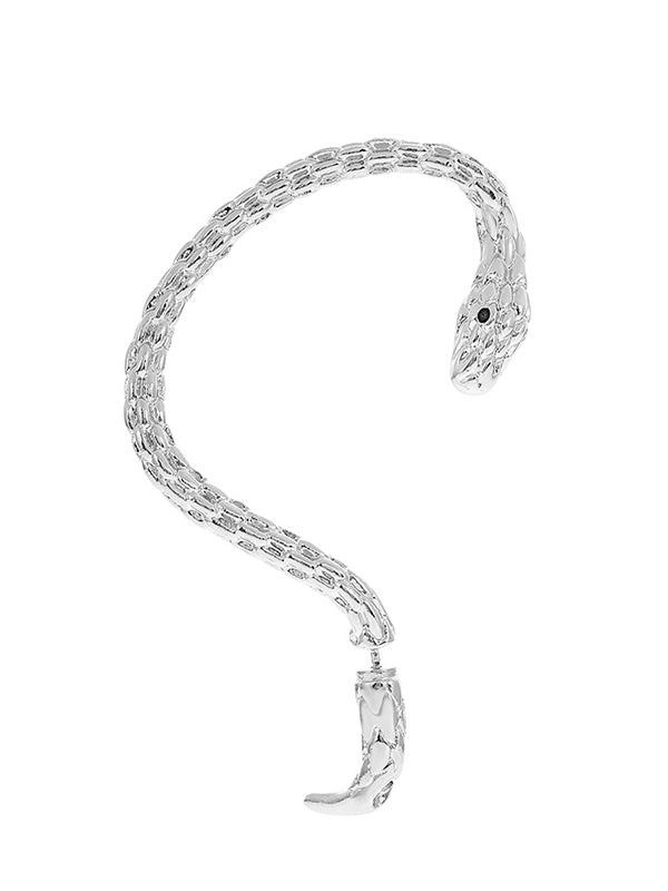 Snake Shape Earhook Earrings | SILVER