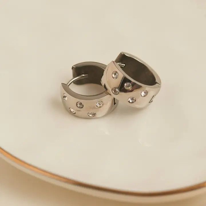 Waterproof Earrings Inlay Cubic Zirconia Hoops Gold &amp; Steel Silver