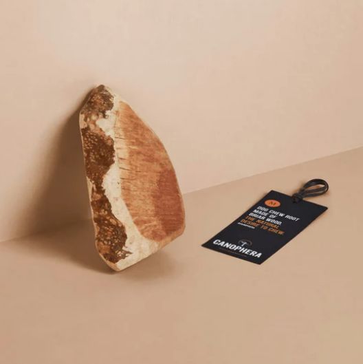 Chew Root Made of Briar Wood Large