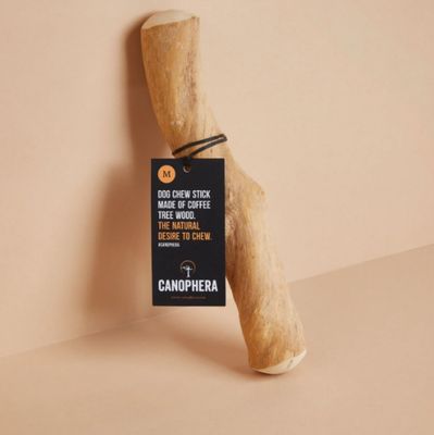 Coffee Tree Wood Medium