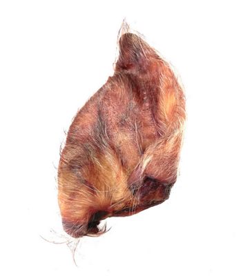 Hairy Pig Ear Chew