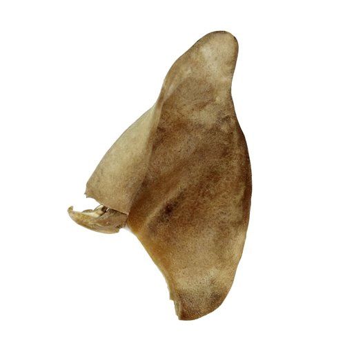 Pig Ear Chew Freeze Dried