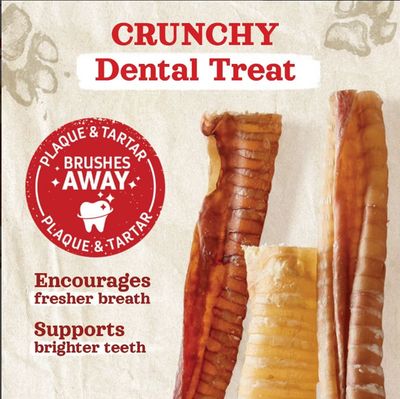 Beef Trachea 6&quot;