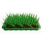 Silicone Mat - Grass
