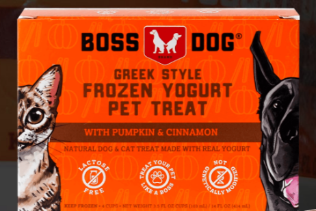 Frozen Yogurt Pumpkin &amp; Cinnamon 3.5 Oz (Single)
